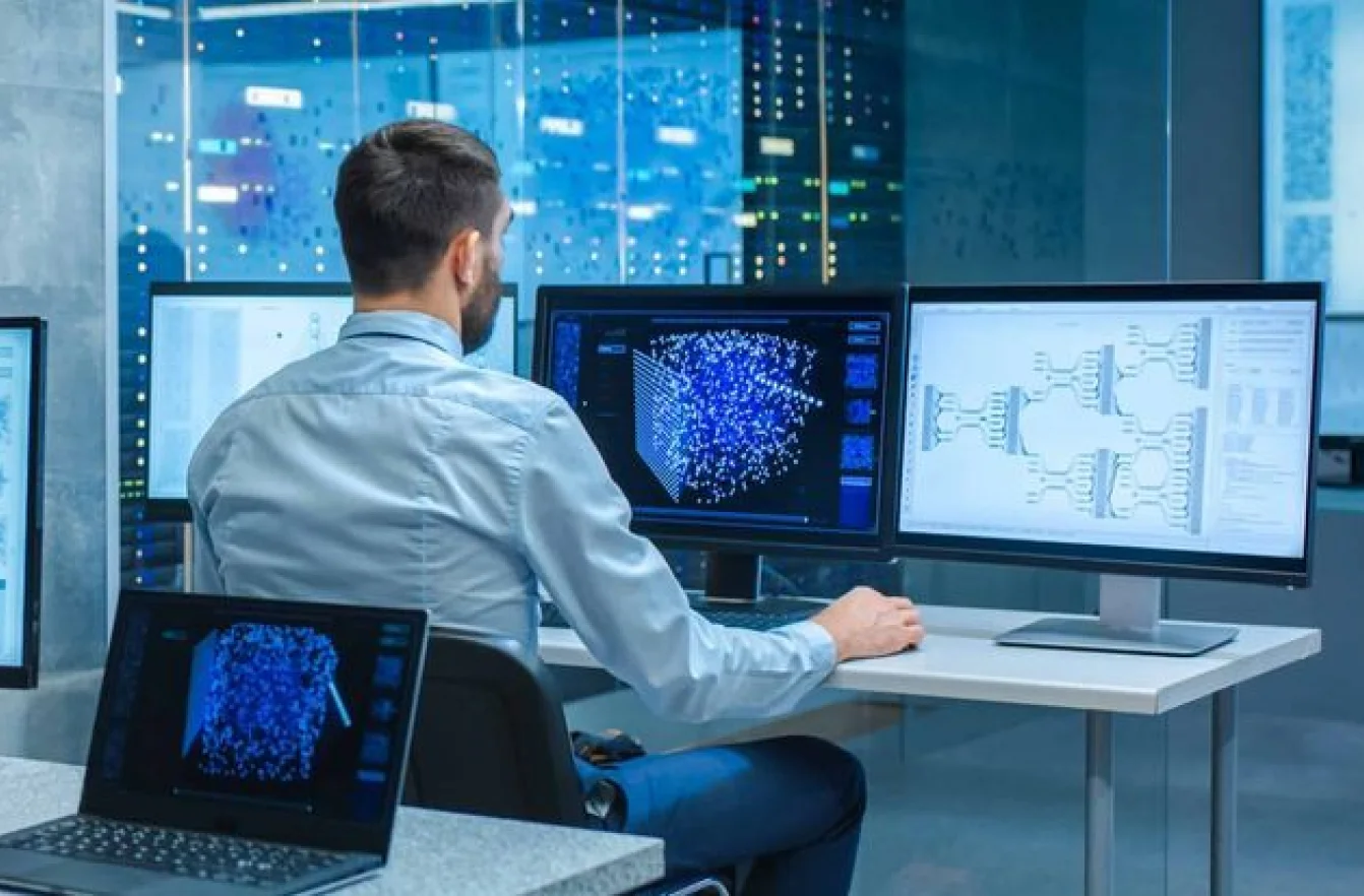 Software maintenance services