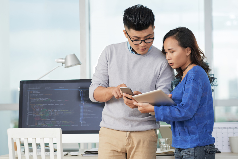 Software maintenance services